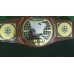 NXT NORTH AMERICAN CHAMPIONSHIP REPLICA BELT | ADULT SIZE ( 2mm plates)